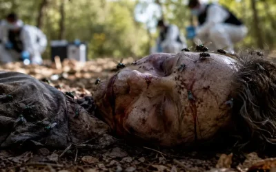 Las moscas pueden llegar a un cadáver casi inmediatamente, pero eso no significa que la muerte ocurrió en ese momento
